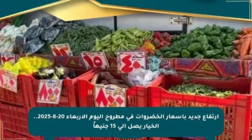 ارتفاع جديد بأسعار الخضروات في مطروح اليوم الأربعاء 20-8-2025.. الخيار يصل إلى 15 جنيهاً
